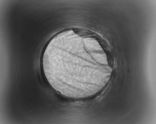 X0000087590196200705251909