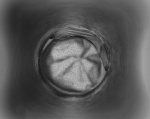X0000087590197200705251909