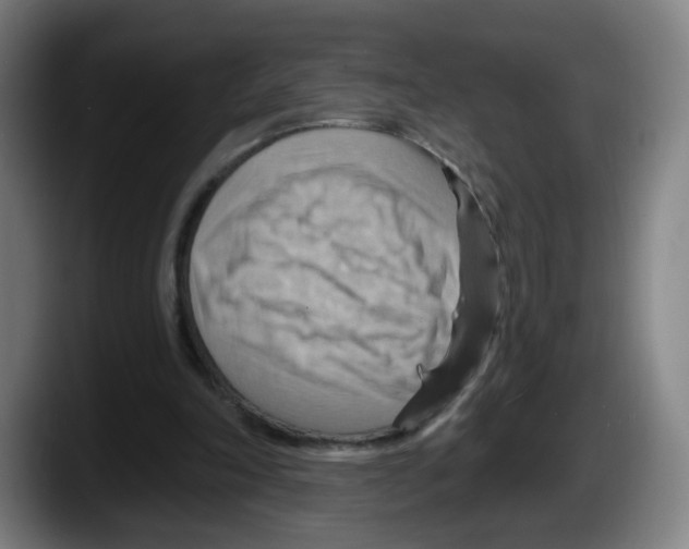 X0000087590198200705251909