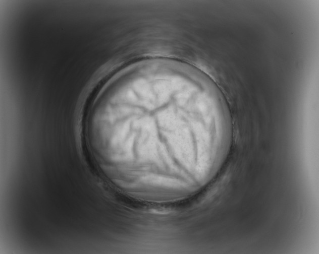 X0000087590199200705251909