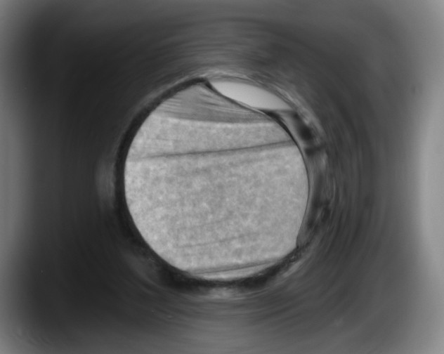 X0000087590204200705251908