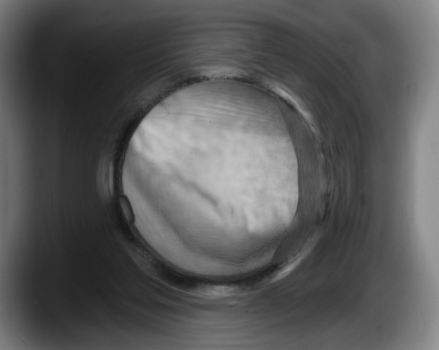 X0000087590205200705251908