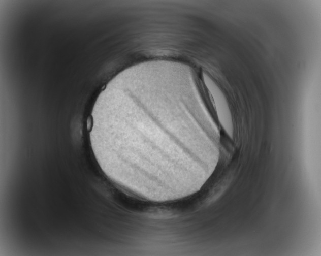 X0000087590207200705251908