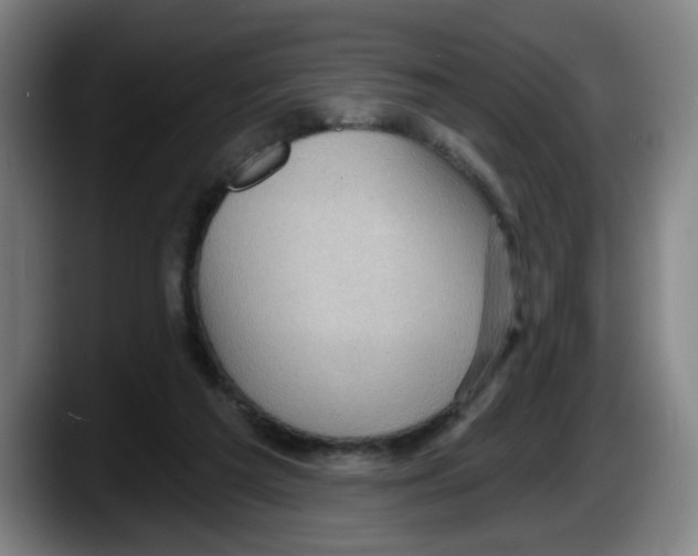 X0000087590209200705251908