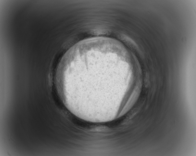 X0000087590210200705251908