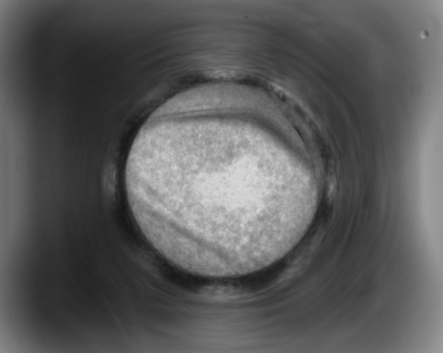 X0000087590211200705251908