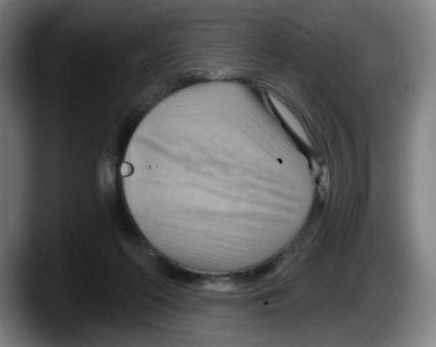 X0000087590214200705251908