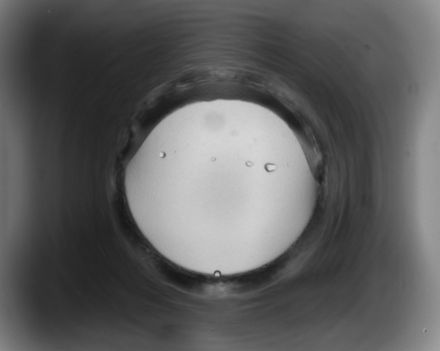X0000087590216200705251908