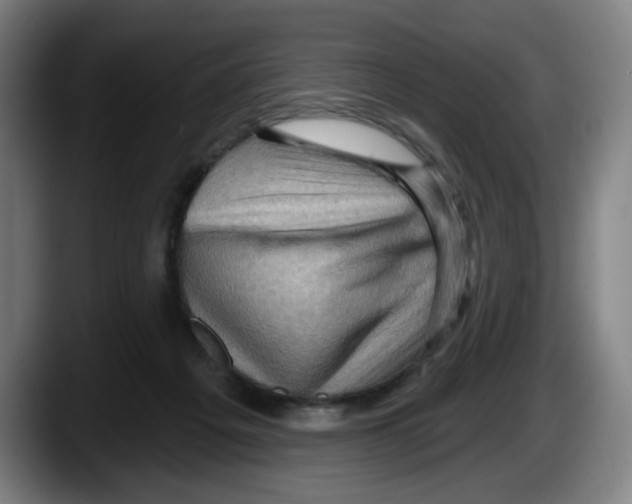 X0000087590217200705251908