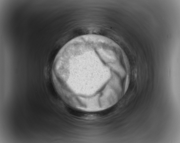 X0000087590218200705251908