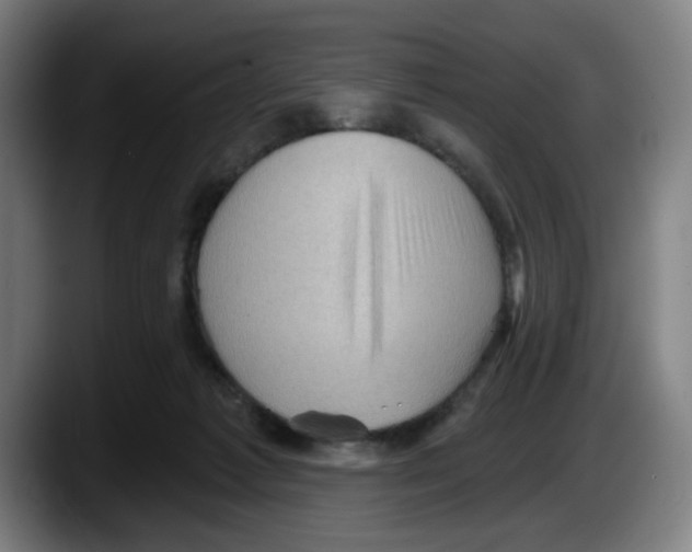 X0000087590221200705251908