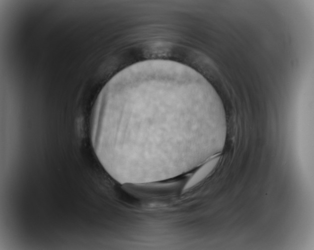 X0000087590224200705251908