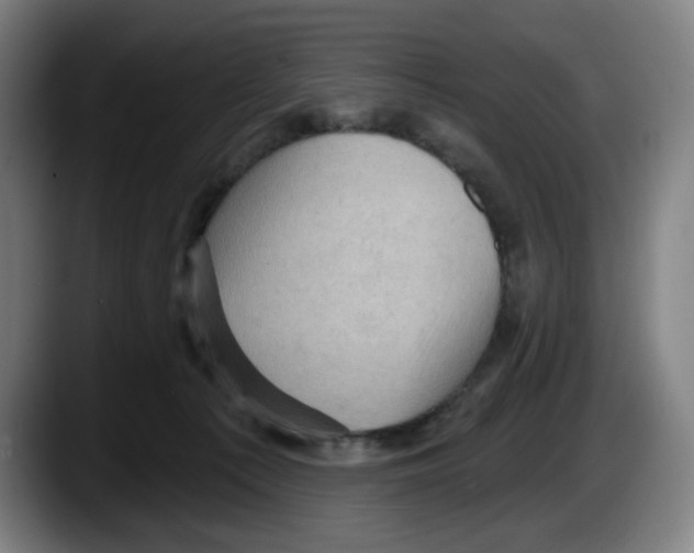 X0000087590225200705251908