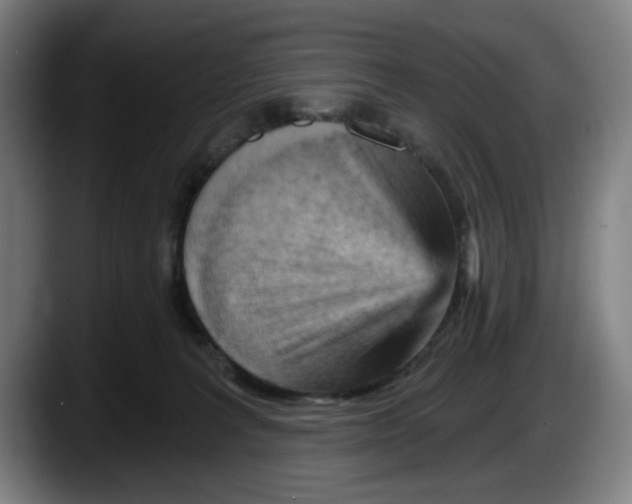 X0000087590227200705251908