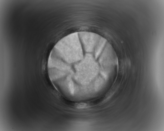 X0000087590230200705251908