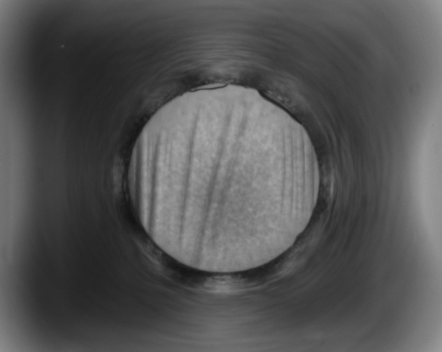 X0000087590231200705251908