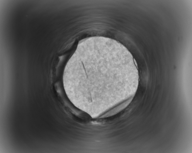 X0000087590232200705251908