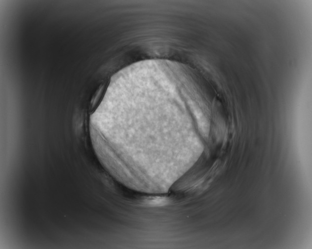 X0000087590233200705251908