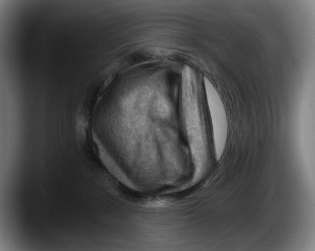 X0000087590235200705251908