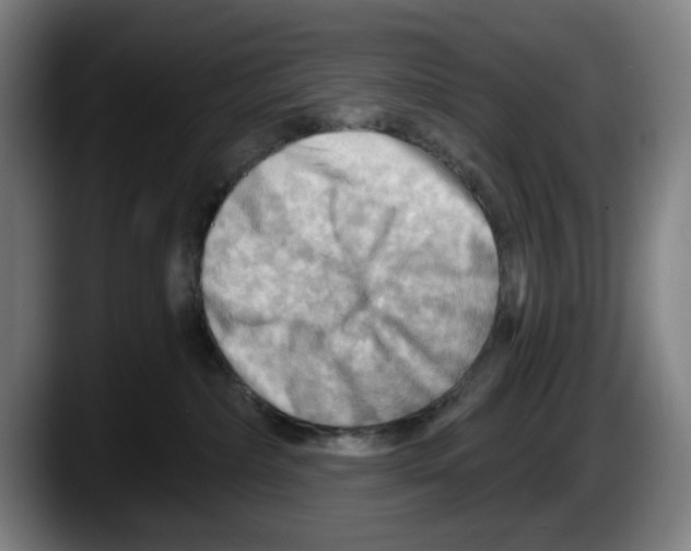 X0000087590236200705251908