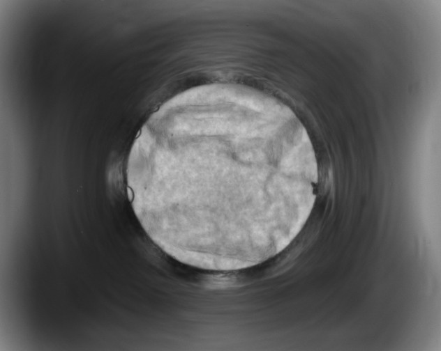 X0000087590238200705251908