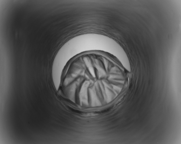 X0000087590239200705251908