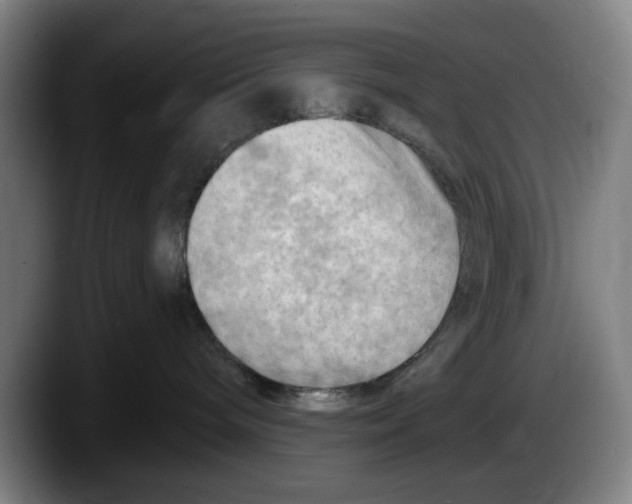 X0000087590240200705251908