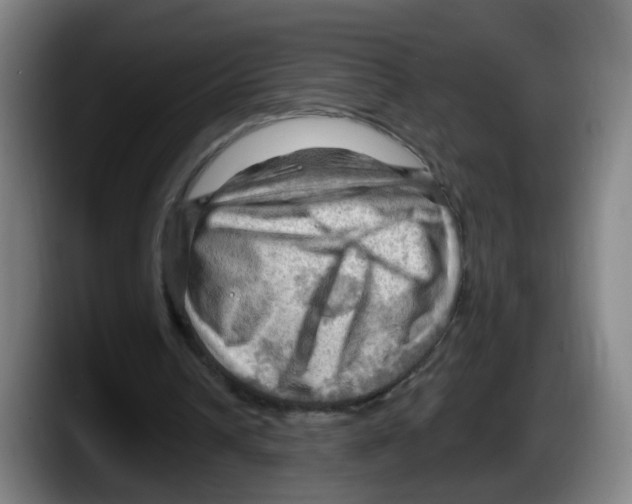 X0000087590242200705251907