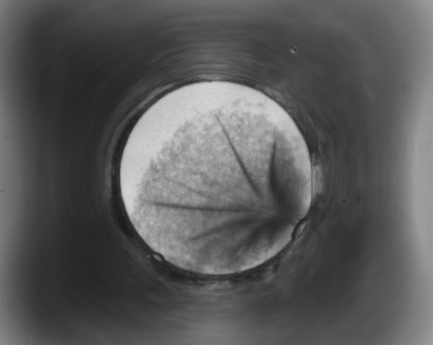 X0000087590243200705251907
