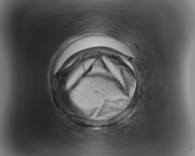 X0000087590244200705251907