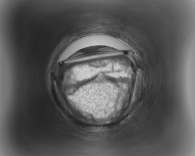 X0000087590245200705251907