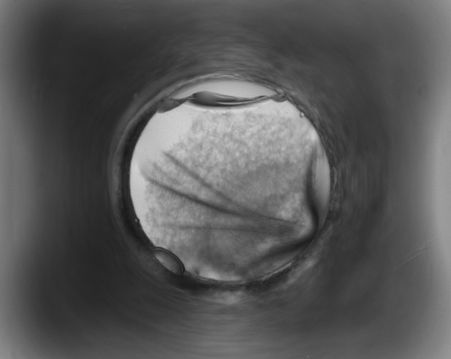 X0000087590247200705251907