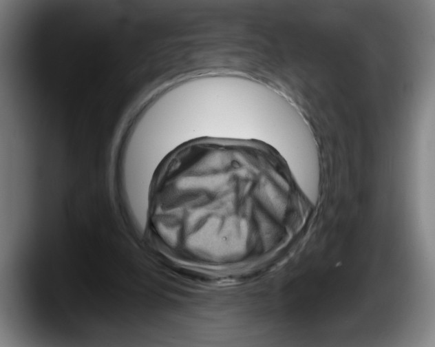 X0000087590248200705251907