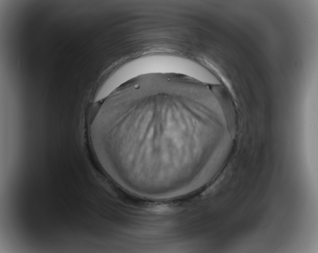X0000087590249200705251907