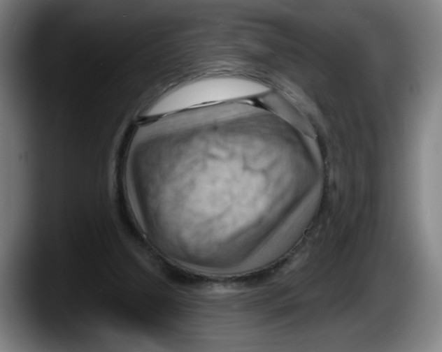 X0000087590250200705251907