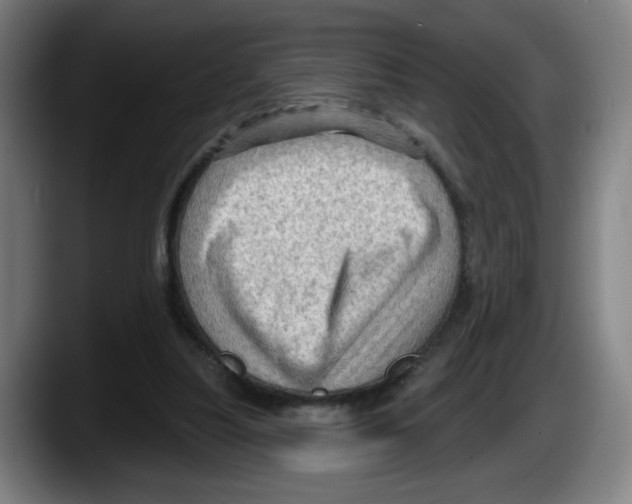 X0000087590251200705251907