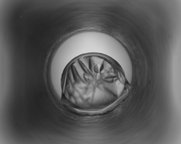 X0000087590252200705251907