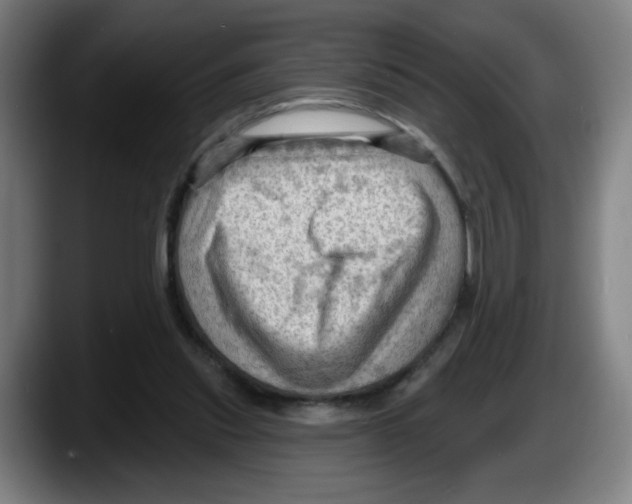 X0000087590253200705251908