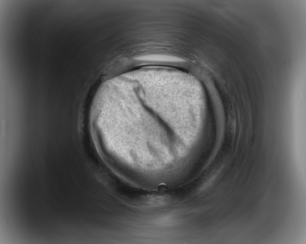 X0000087590255200705251908