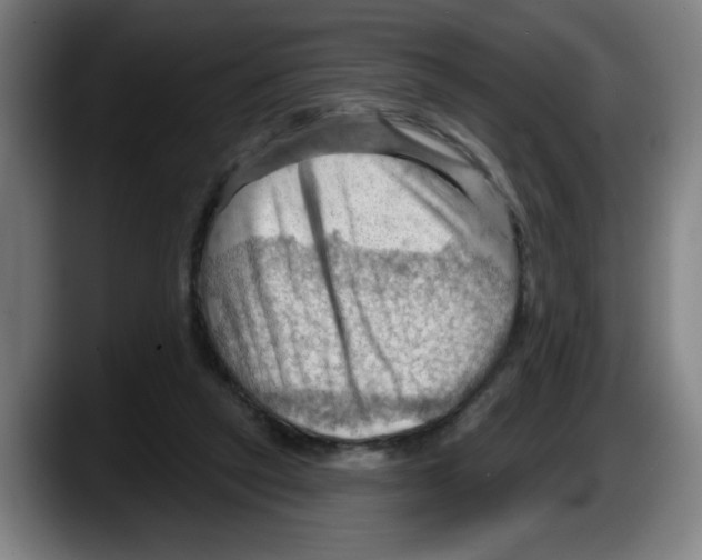 X0000087590257200705251908