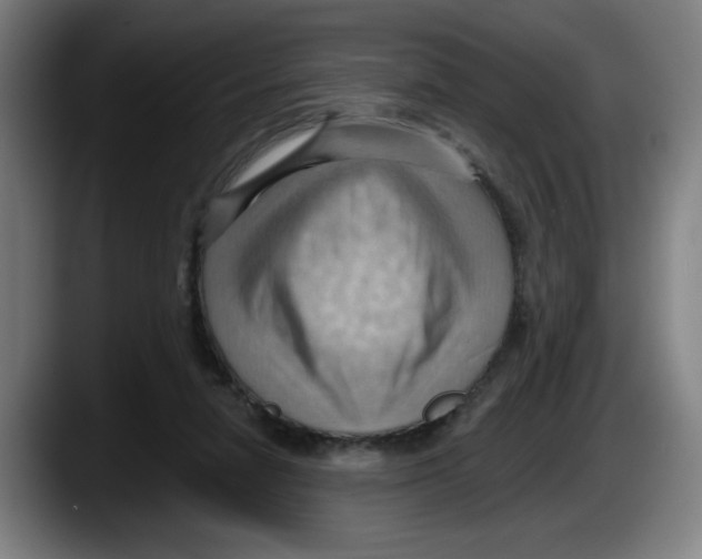 X0000087590258200705251908