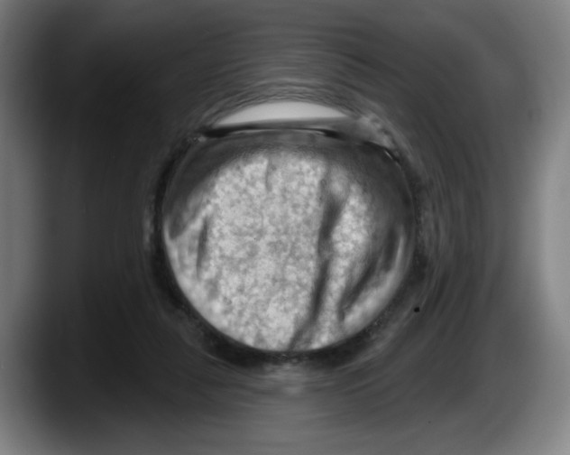 X0000087590259200705251908