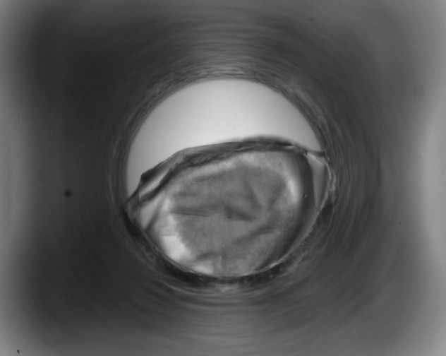 X0000087590260200705251908