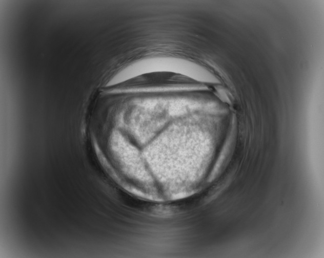 X0000087590261200705251908