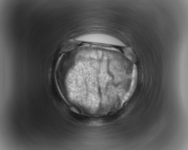 X0000087590263200705251908