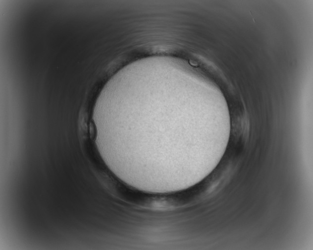 X0000087590264200705251908