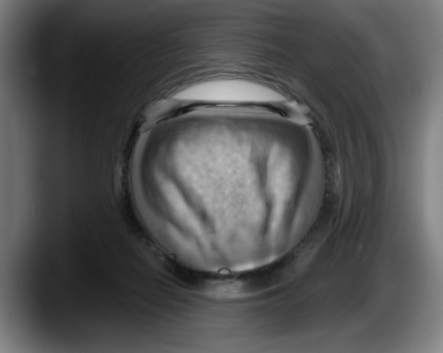 X0000087590266200705251908