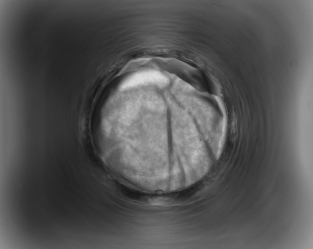 X0000087590268200705251908