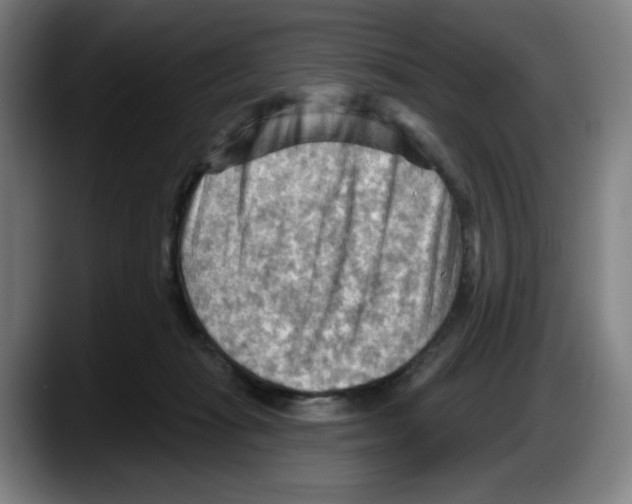 X0000087590269200705251908