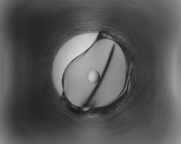 X0000087590270200705251908